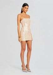 Heather Sequin Dress