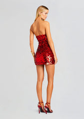 Nolia Sequin Embellished Dress