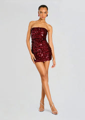 Nolia Sequin Embellished Dress