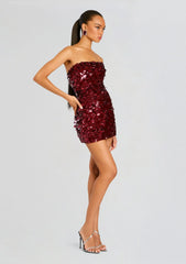 Nolia Sequin Embellished Dress